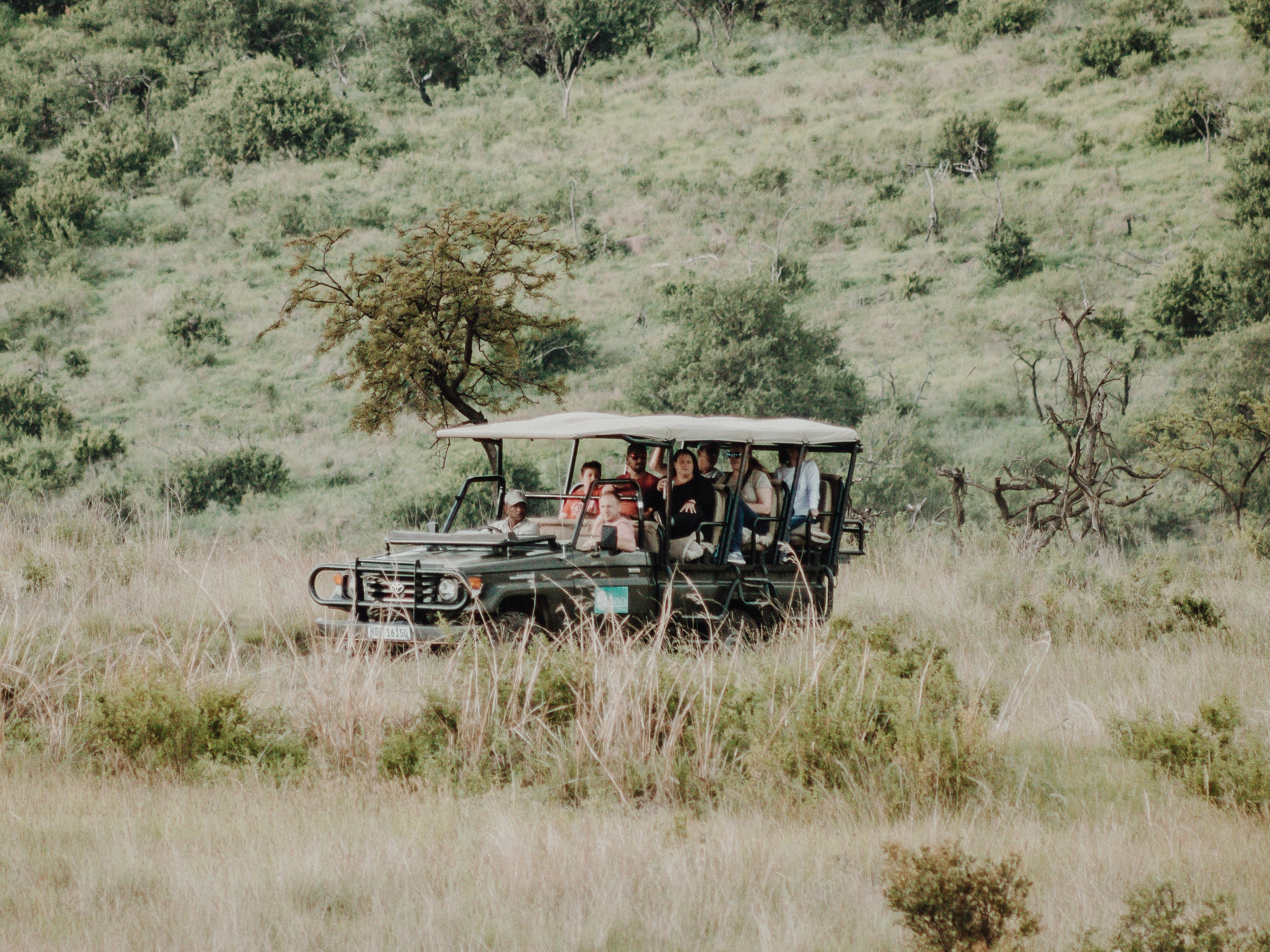 vehicle on a safari